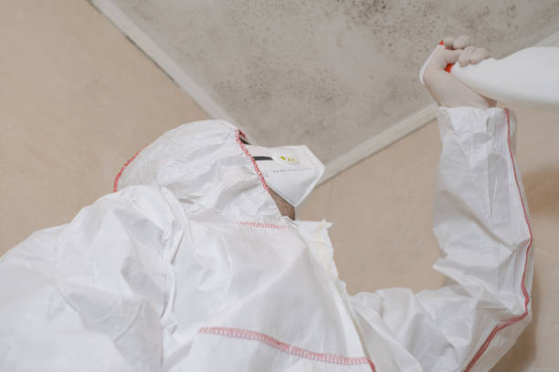 Best Commercial Mold Removal  in Hyde, PA