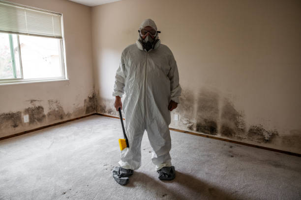 Best Fast Mold Removal  in Hyde, PA