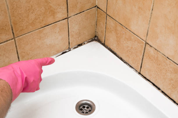 Best Emergency Mold Removal  in Hyde, PA